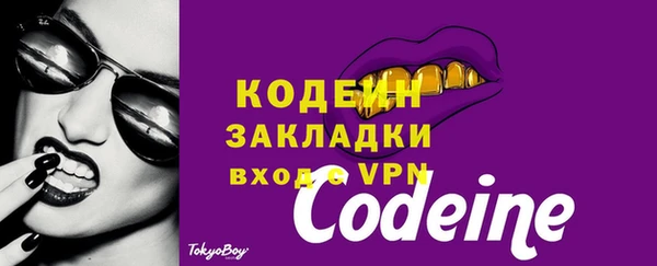 ECSTASY Лагань