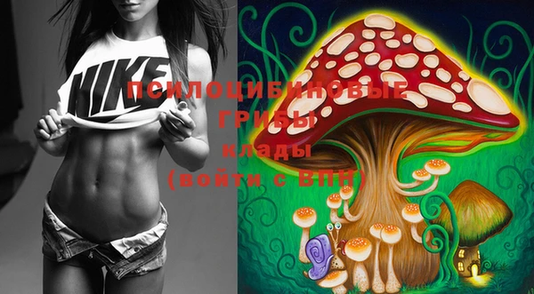 марки lsd Лабытнанги