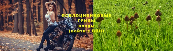 марки lsd Лабытнанги