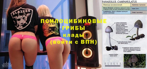 ECSTASY Лагань