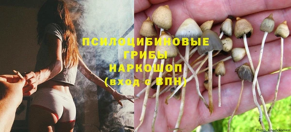 дживик Ладушкин