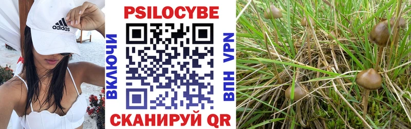 Галлюциногенные грибы Cubensis  цена наркотик  Усть-Кут 